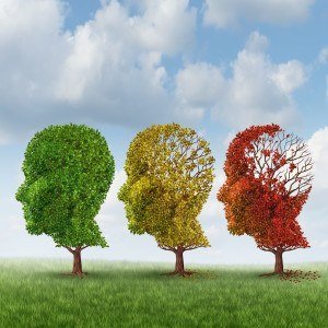  Alzheimer's disease with the medical icon of a group of color changing autumn fall trees in the shape of a human head losing leaves as a loss of thoughts and intelligence function.